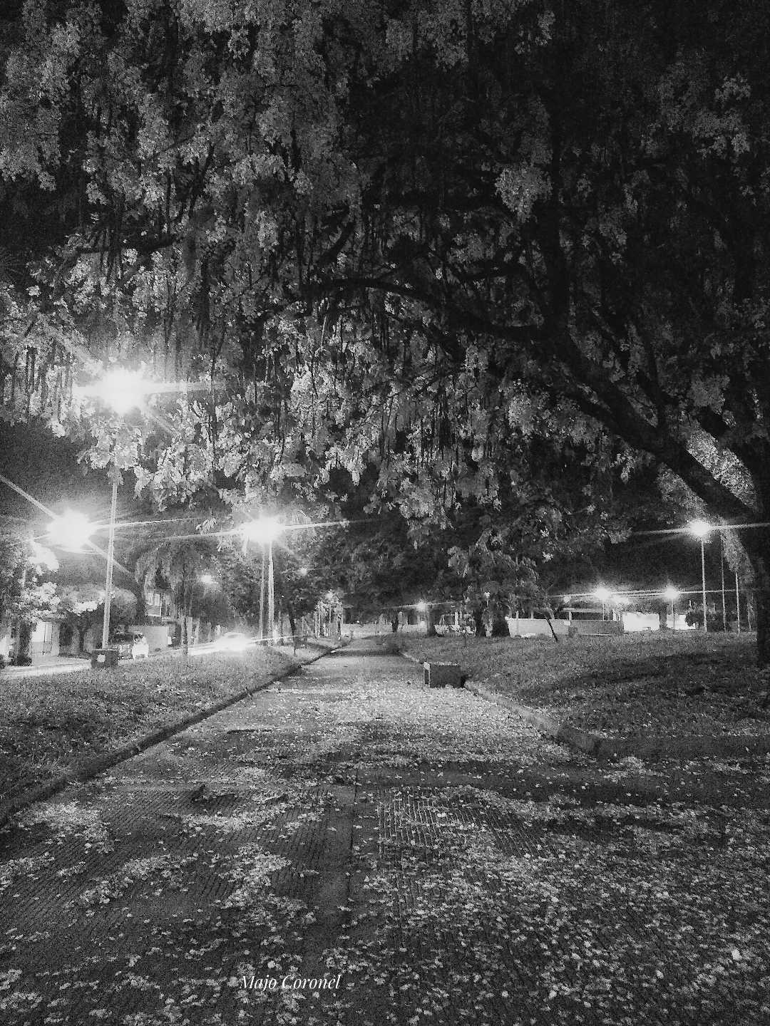 24/12/2023 Tranquilidad