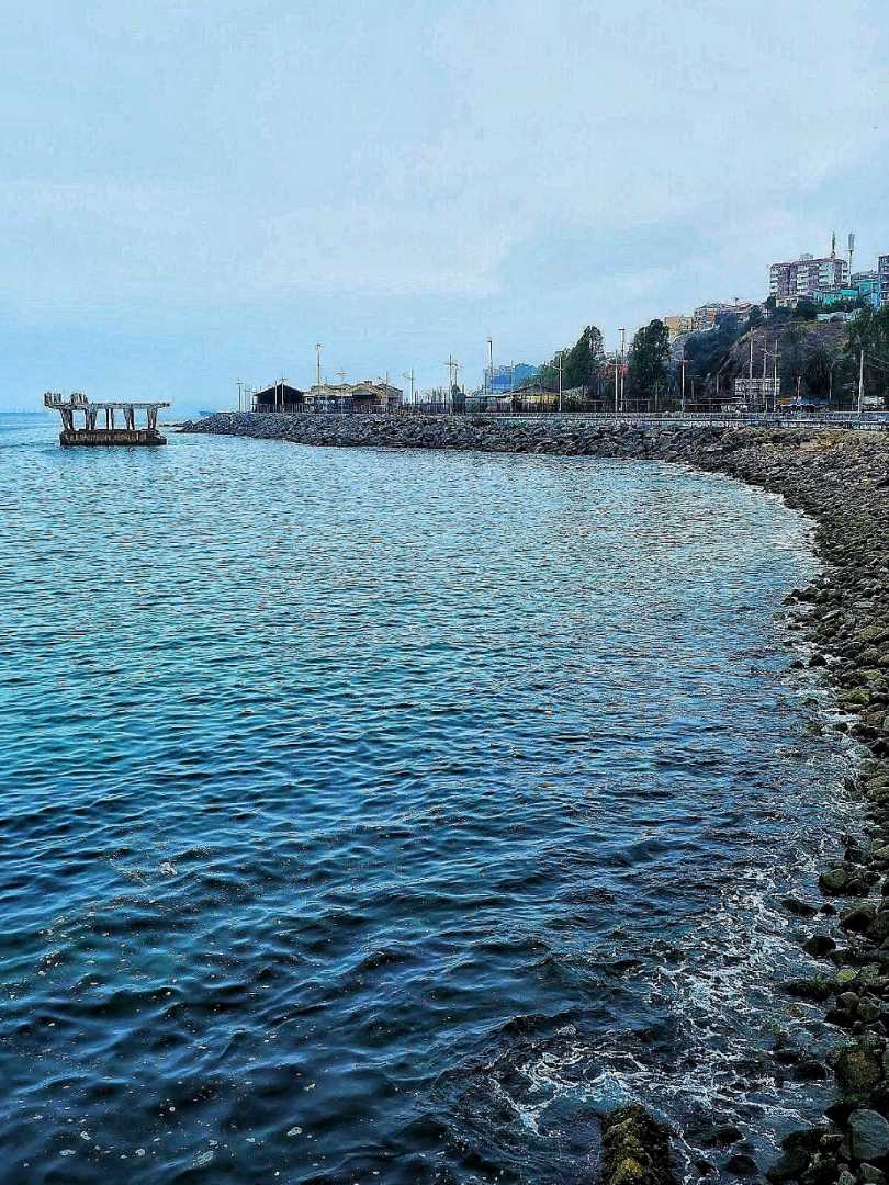 El planchó de los lobos marinos
