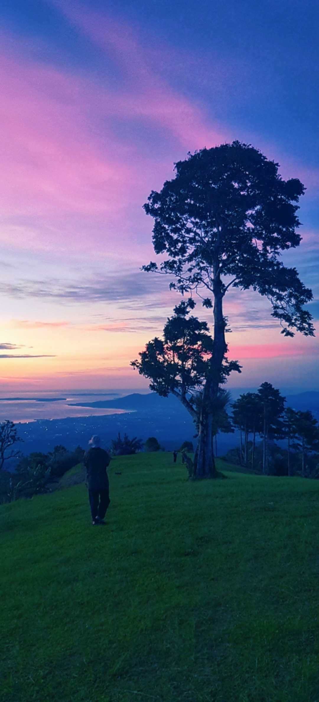 Alone on the hill