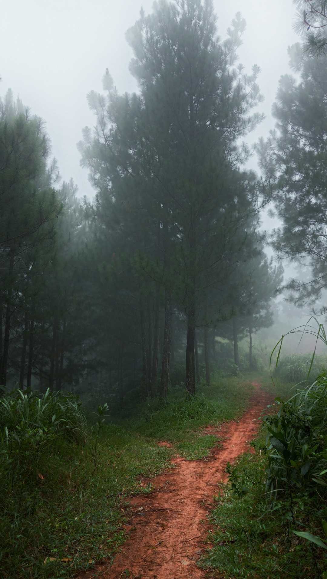Kabut ... Kanan atau Kiri ??