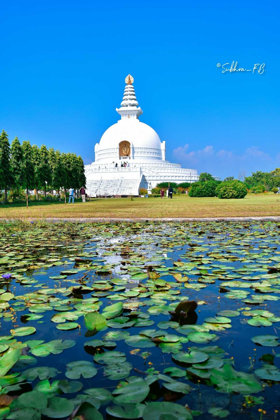 World Peace 🕊️ PAGODA 🤍