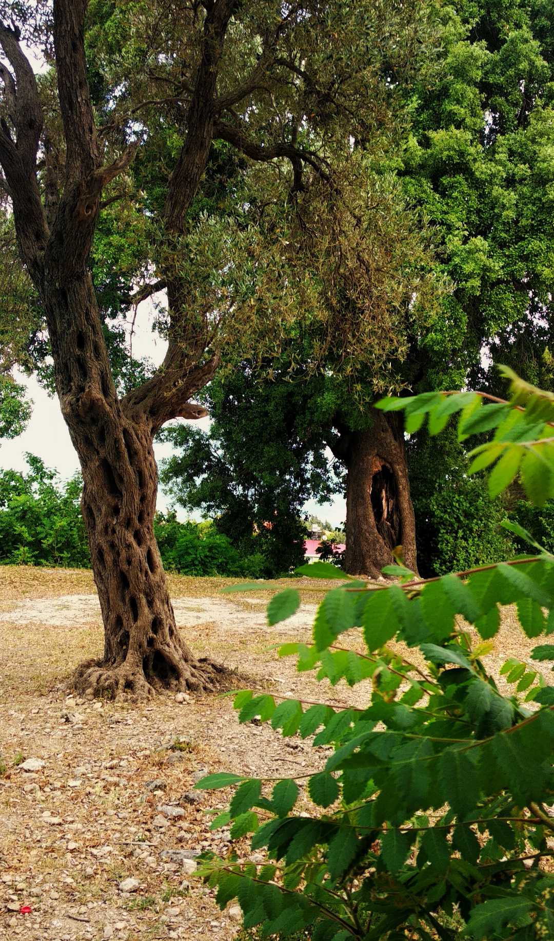 Batıayaz Ermeni Kilisesi