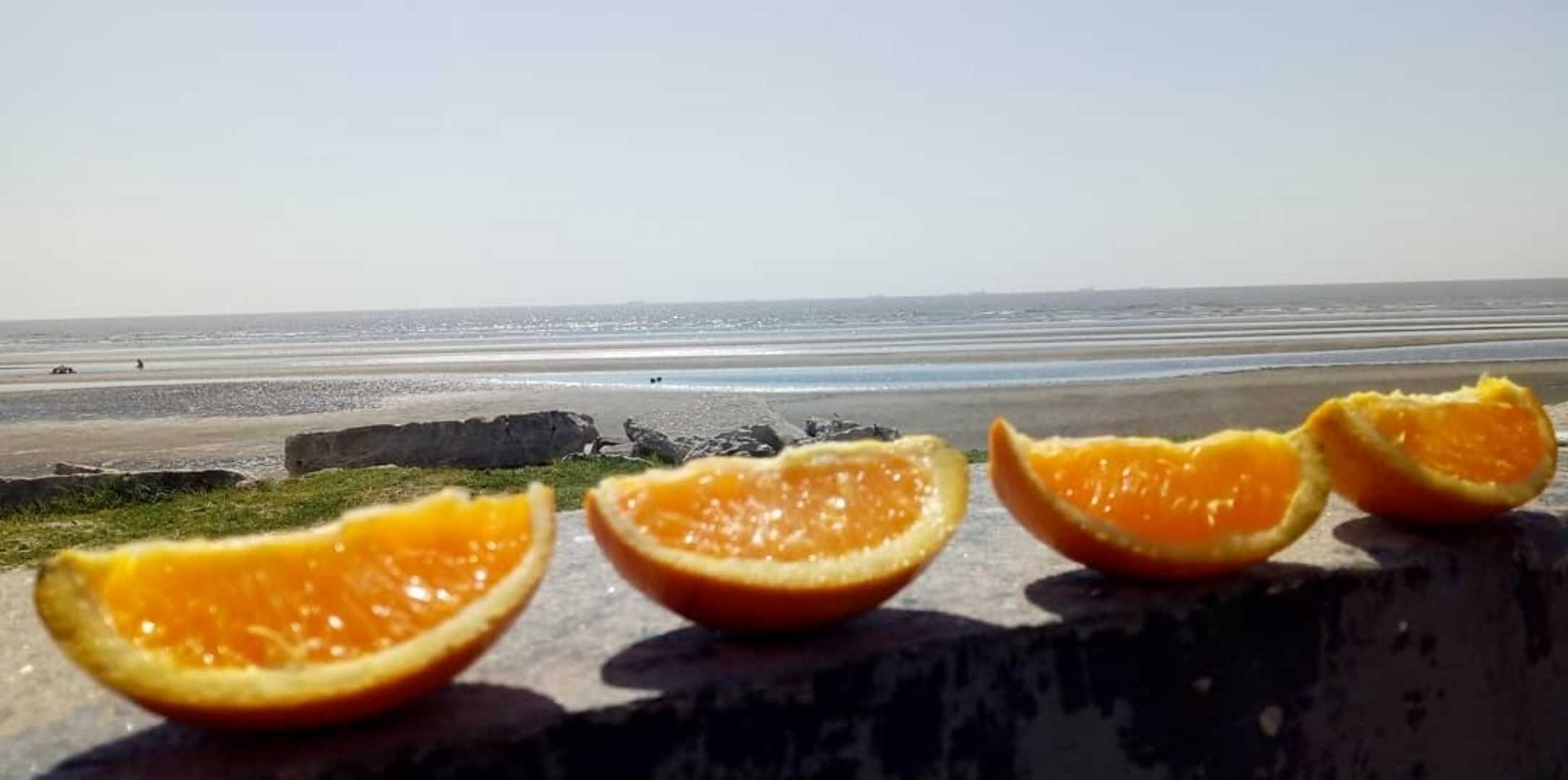 flota naranja