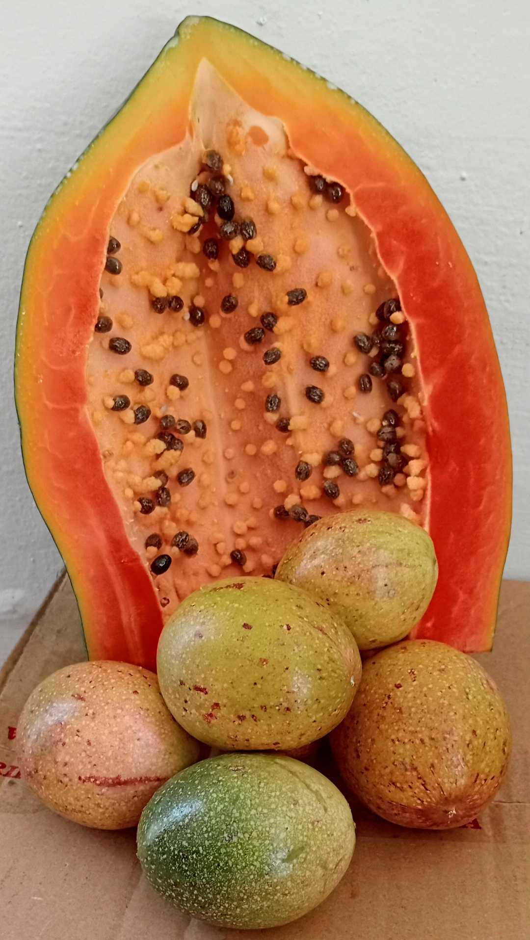 Fruits