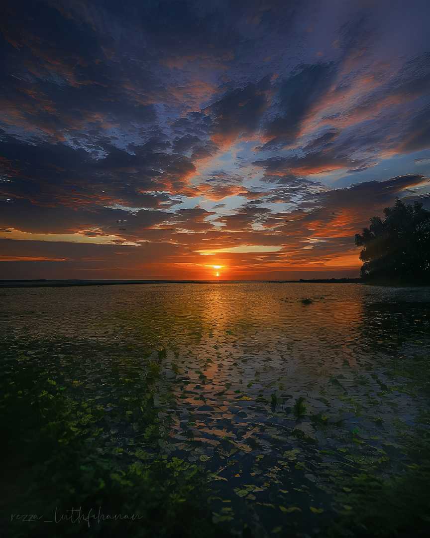 enjoy the sunset