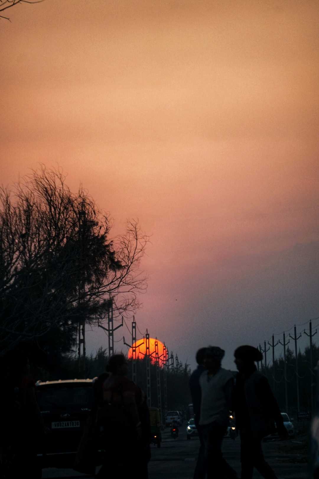 a big ball of beauty 