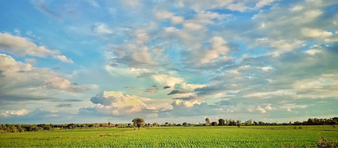 Landscape 