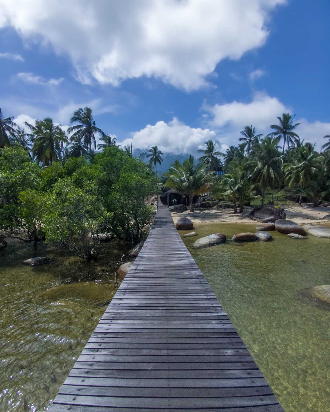 The Charming Beauty of the Tapak Natuna