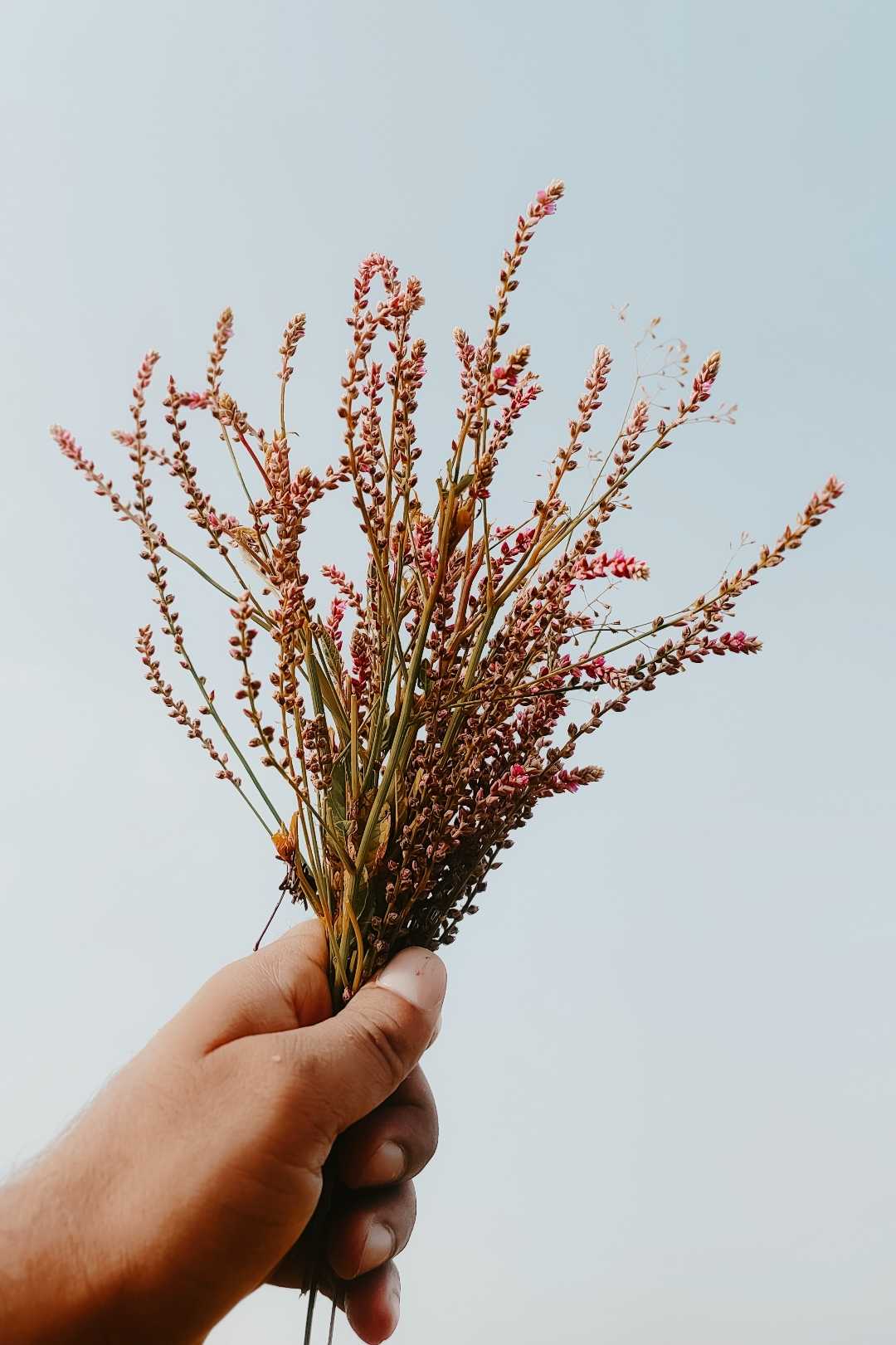 Nature beauty