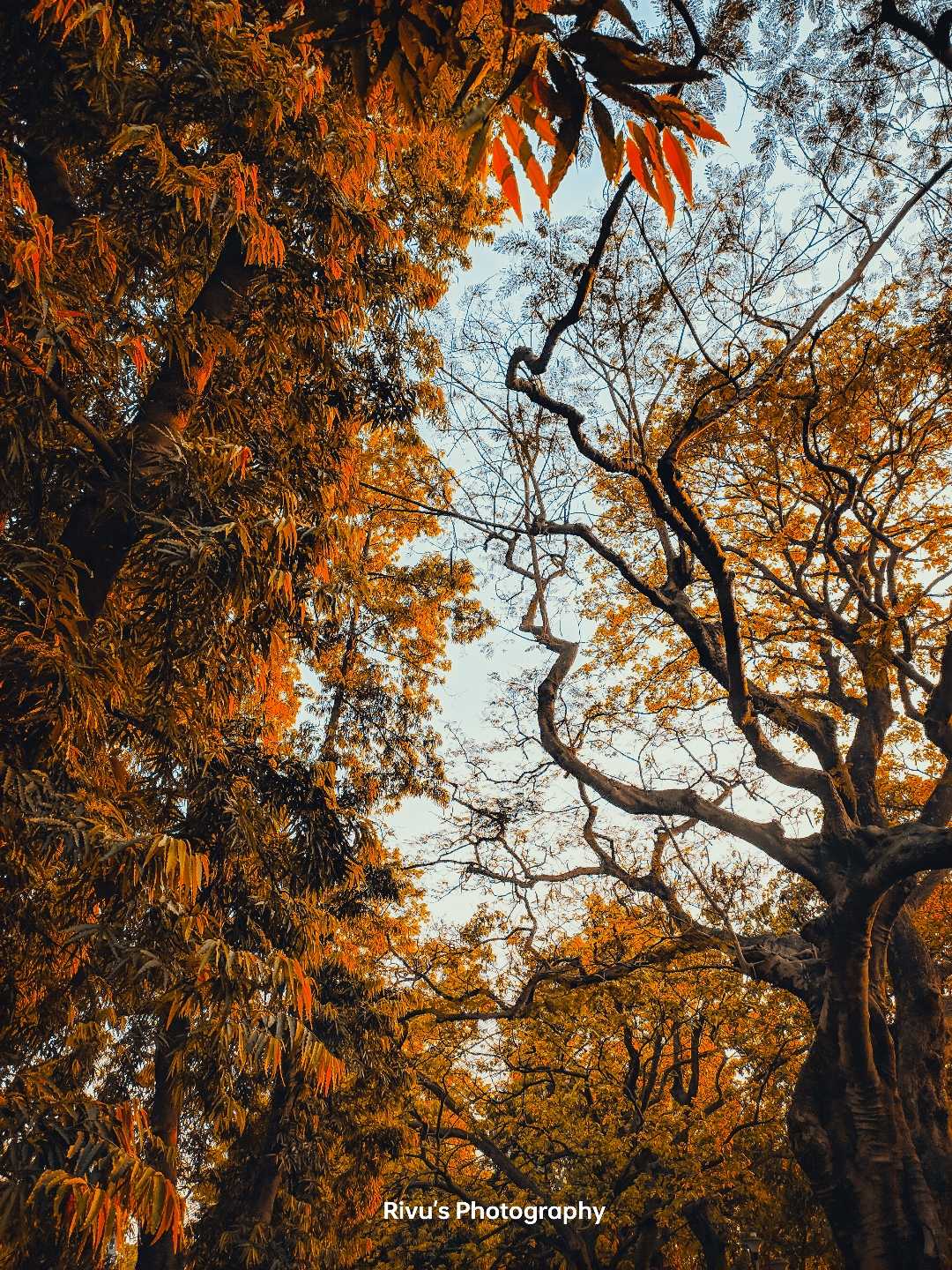 Feels like Autumn?