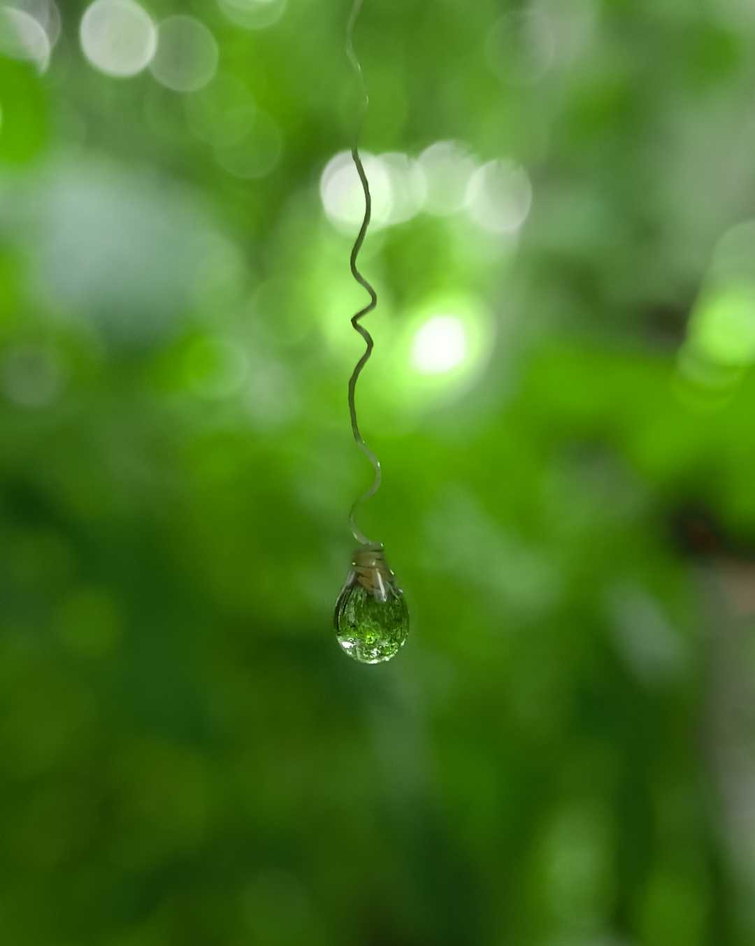 macro photography 