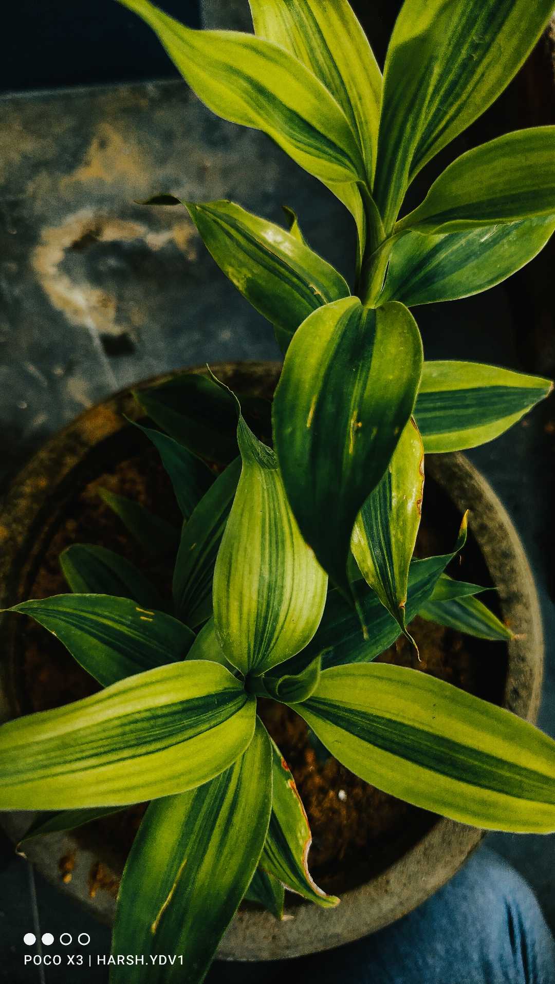 wallpaper material 