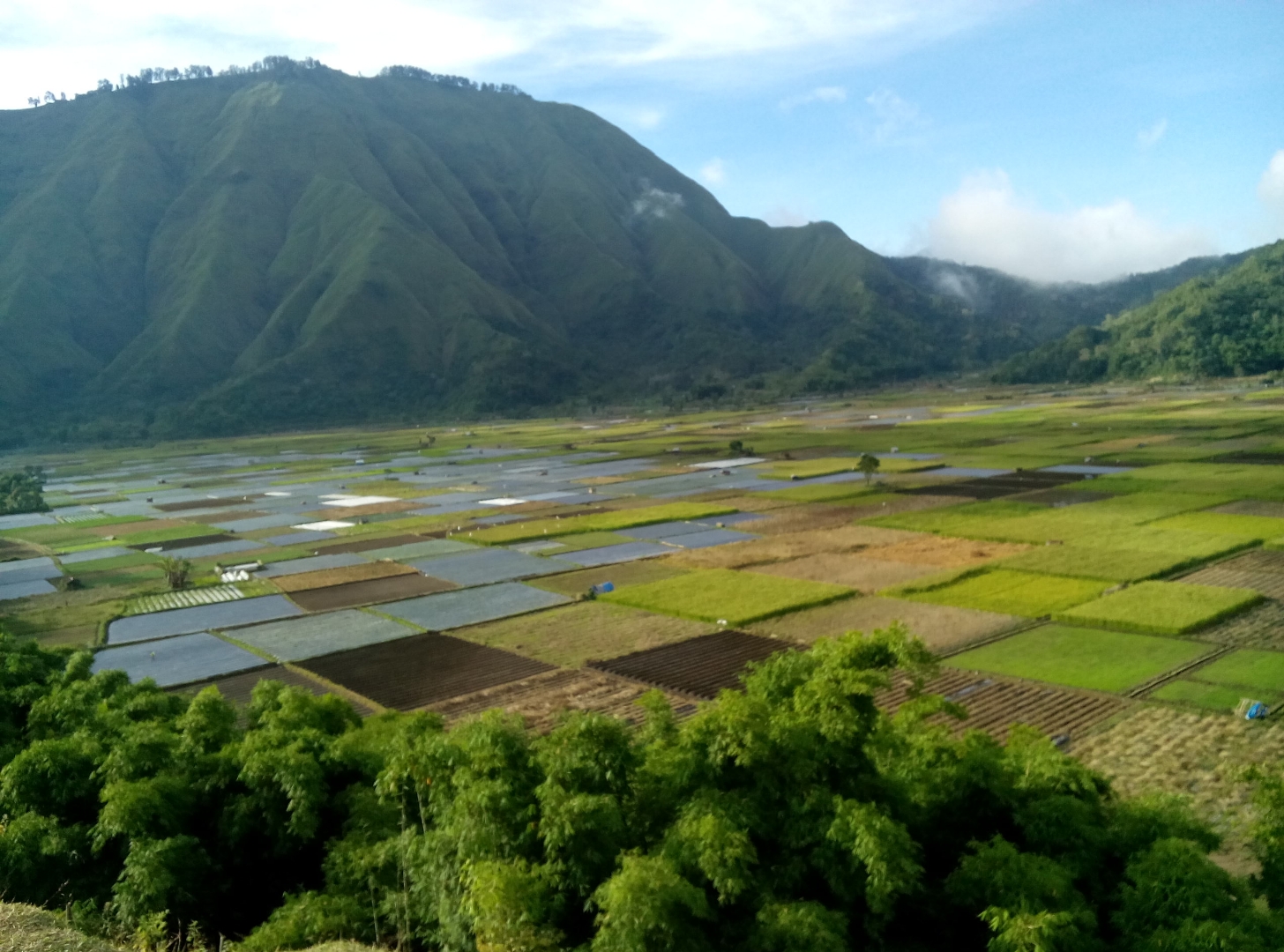 Selong Hill_Lombok