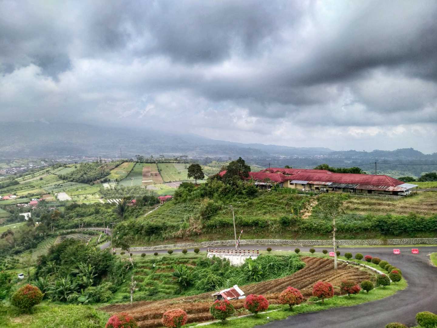 Landscape