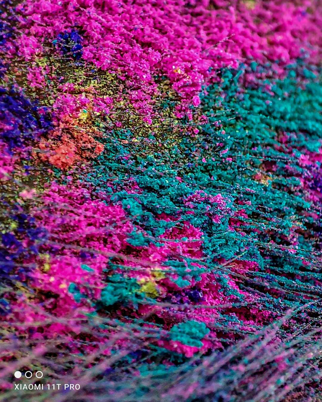 colours
