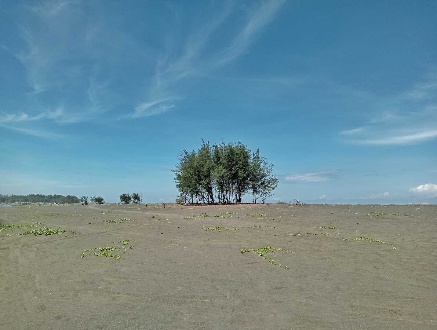 Alone 