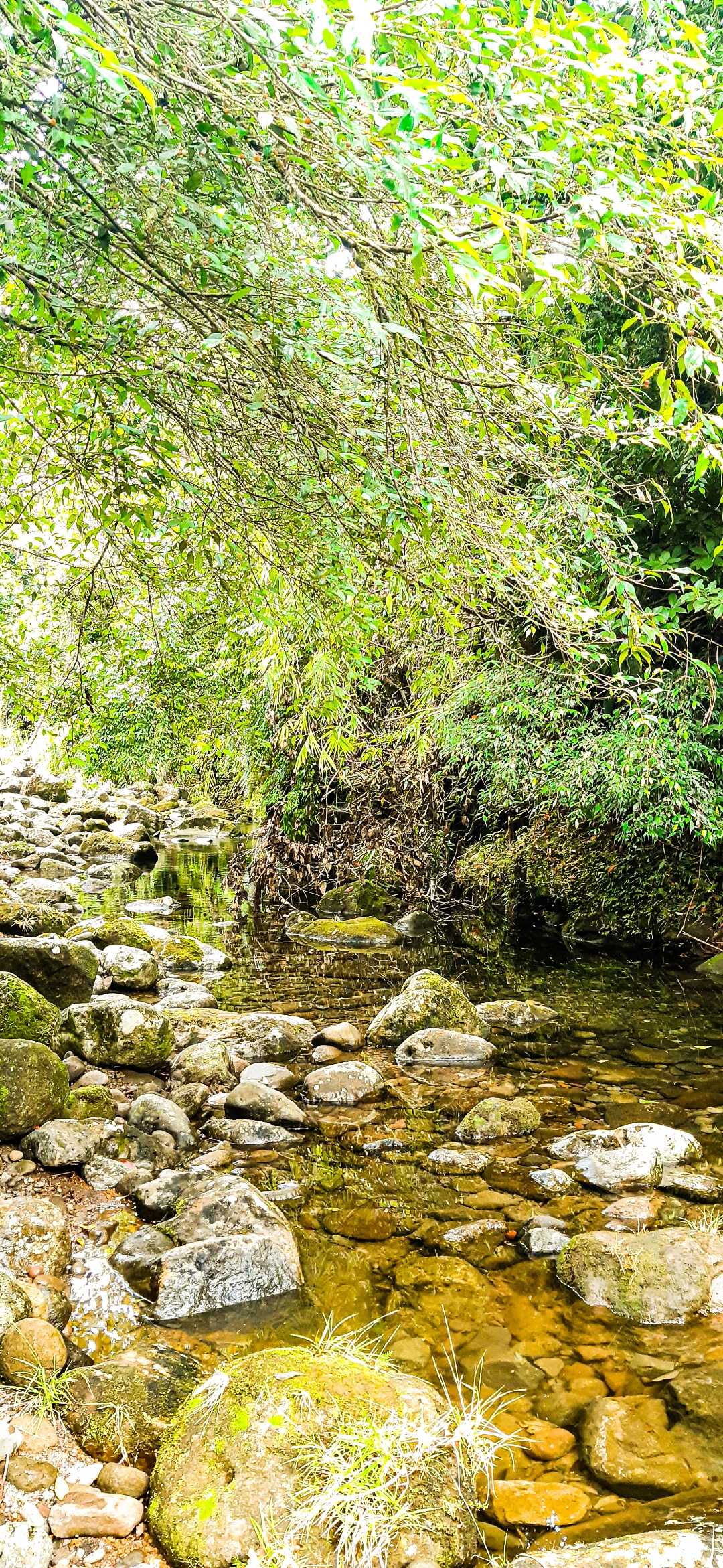 Namurabod buhi Camarines sur ESCAPADE 