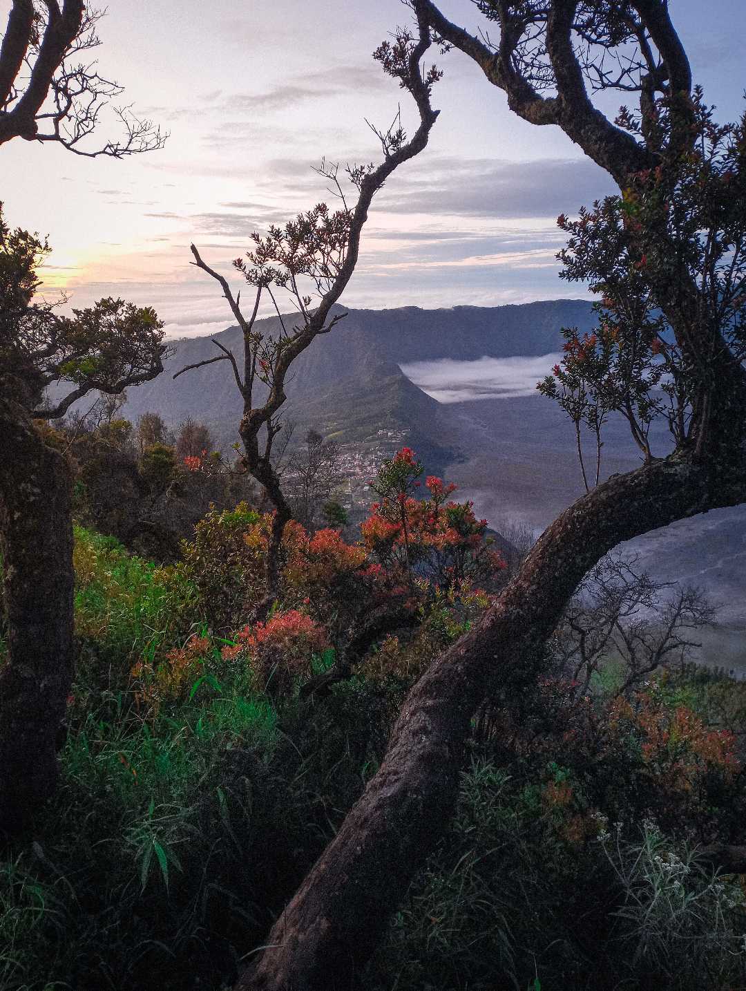 bukit perahu penanjakan bromo