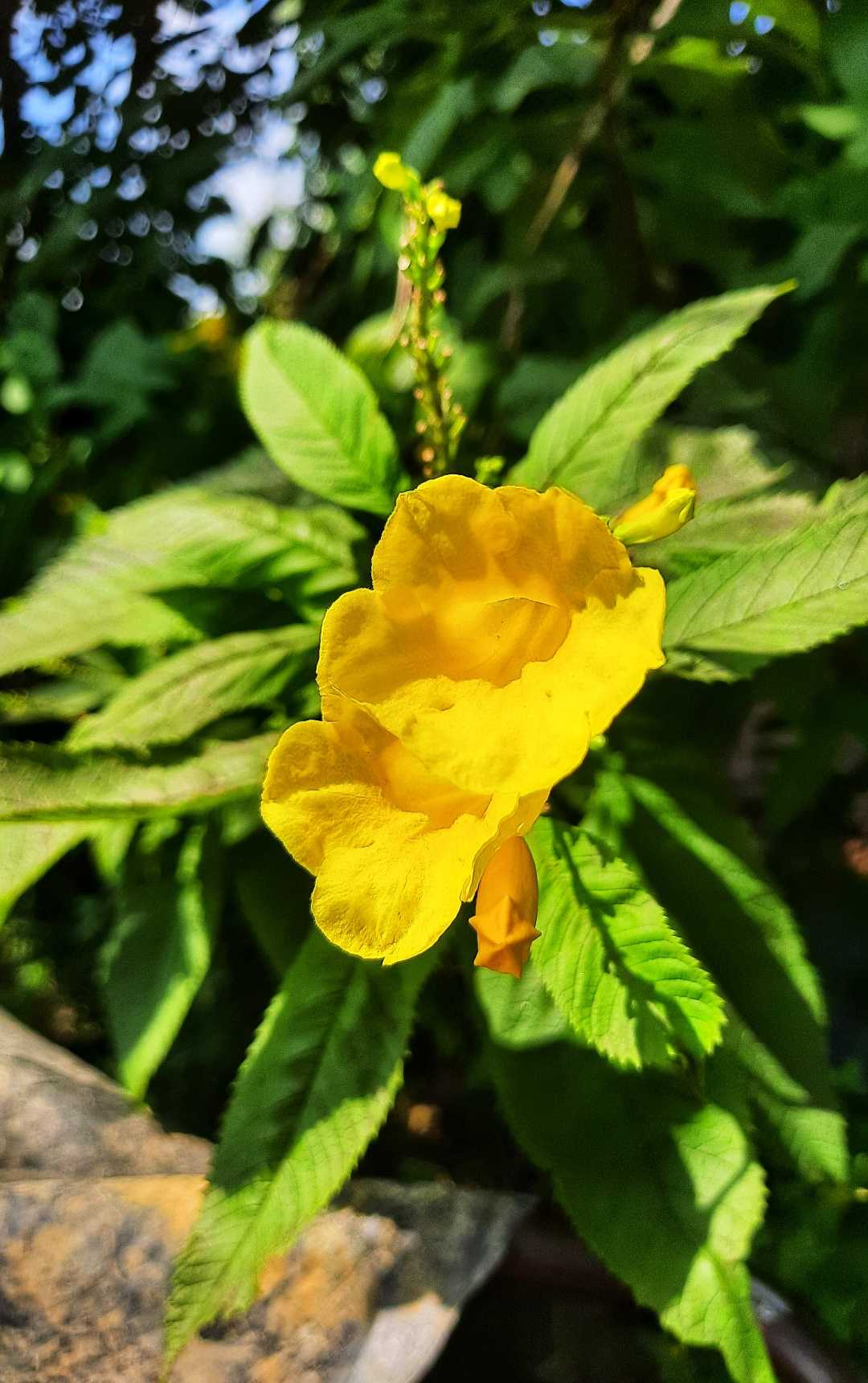 Natural photography 