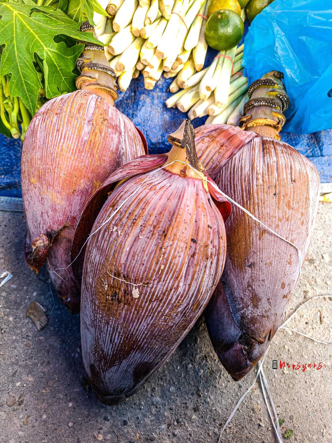 Jantung Pisang, Dibuang Padahal Mahal Harganya