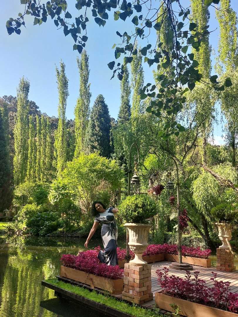 Jardin Secreto/ Secret Garden