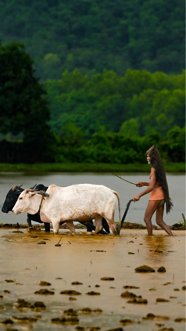 Closer look of agriculture 