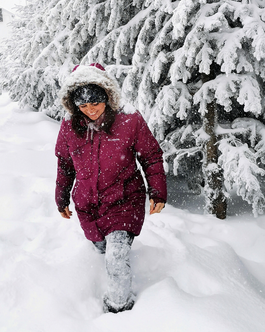 snowy funny lovely