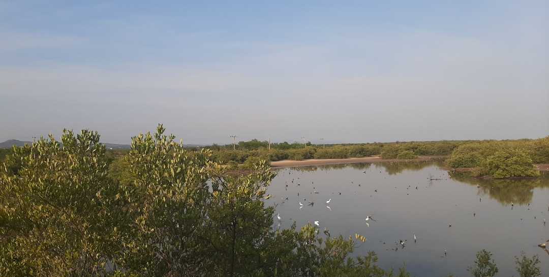 Bahía de Casilda