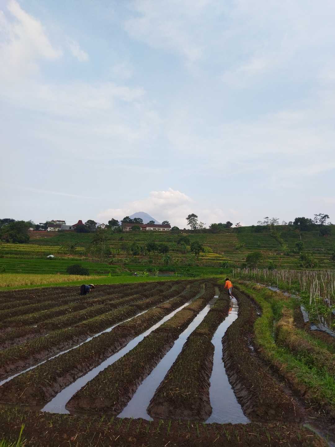 Lahan Tegalan