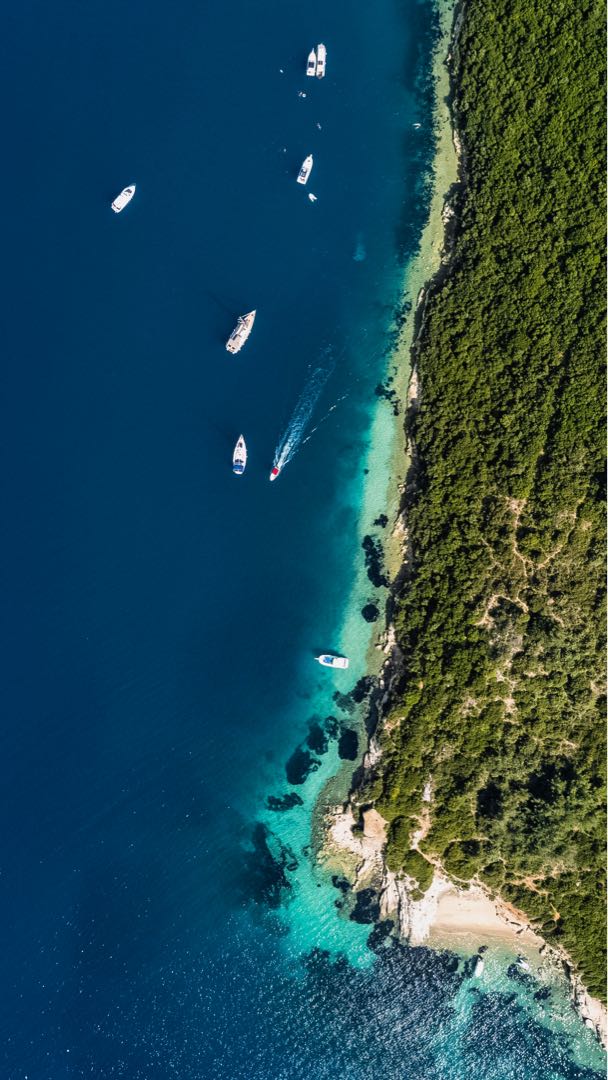 Bird’s Eye View
