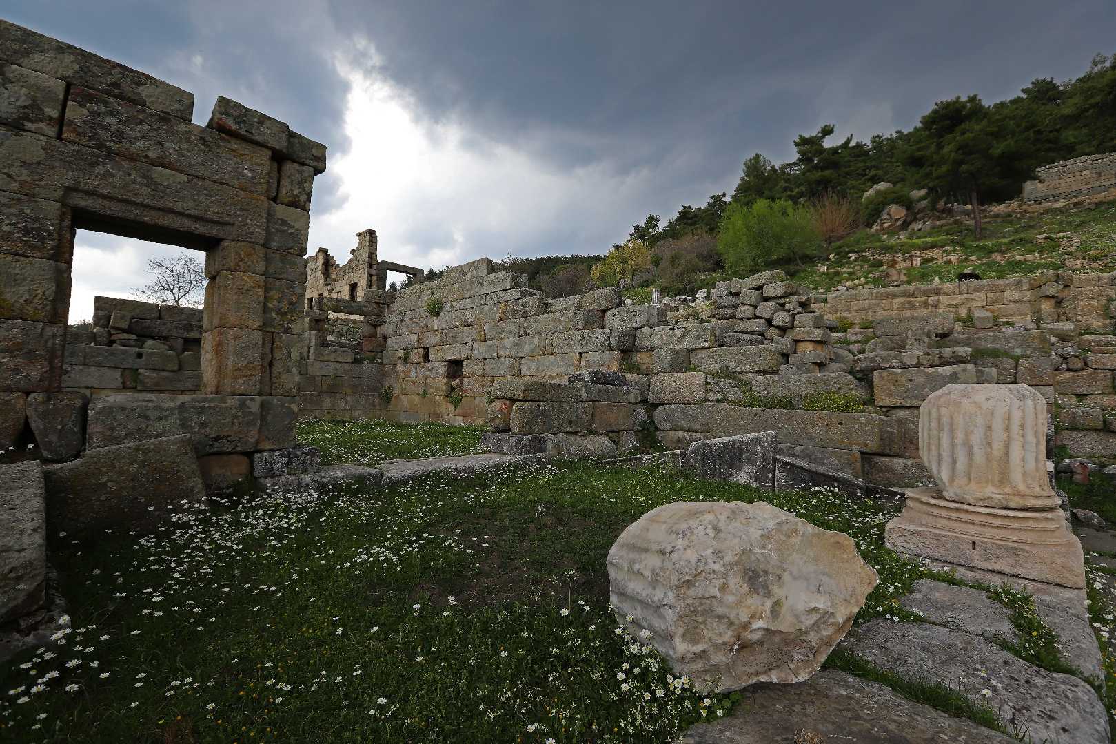 LABRANDA