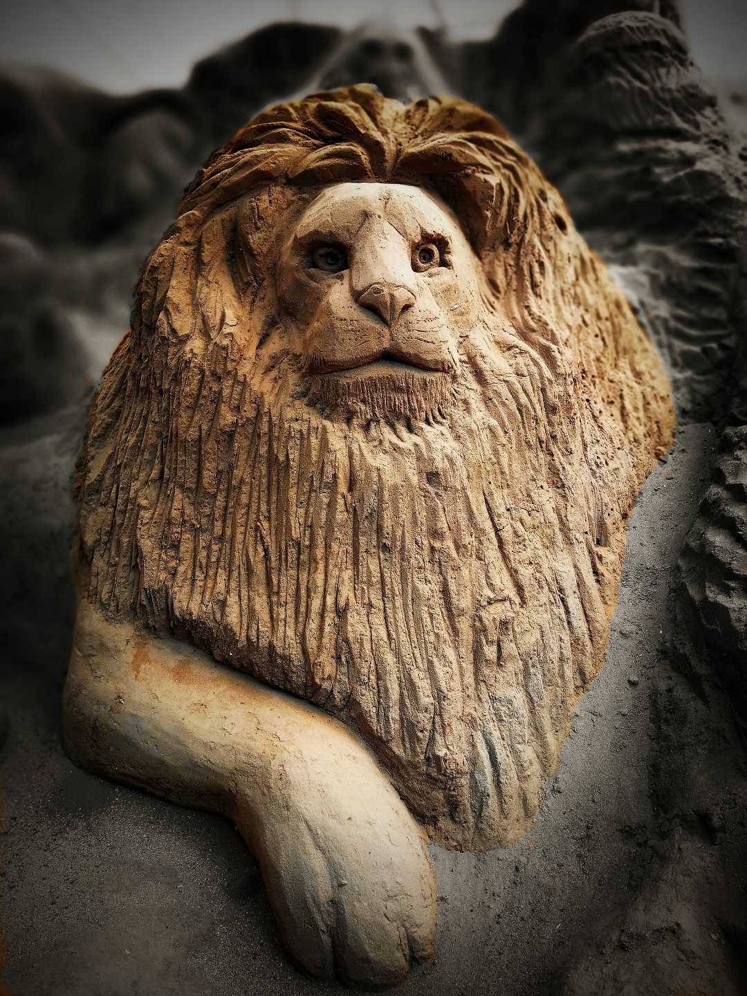Lion made of Sand 🦁🦁