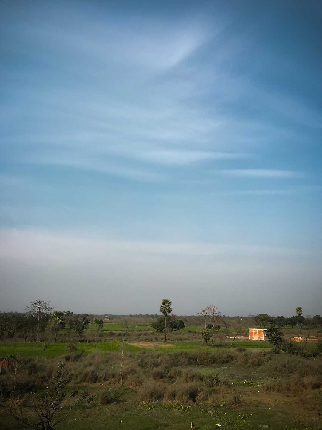 Bettiah Banuchhapar