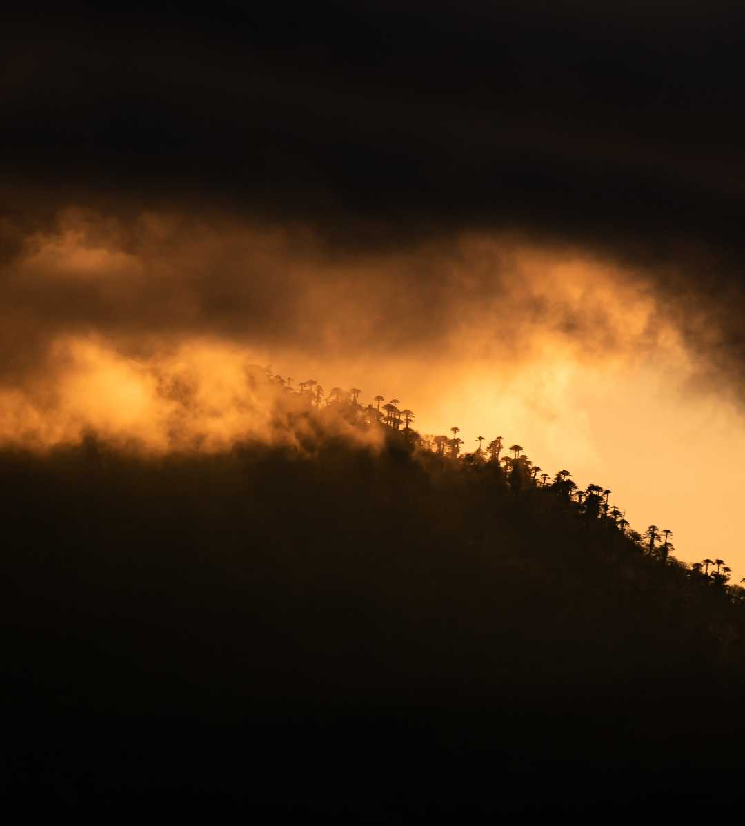 Magical Sunset