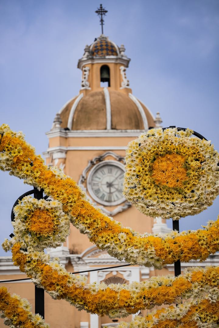 festival de las flores