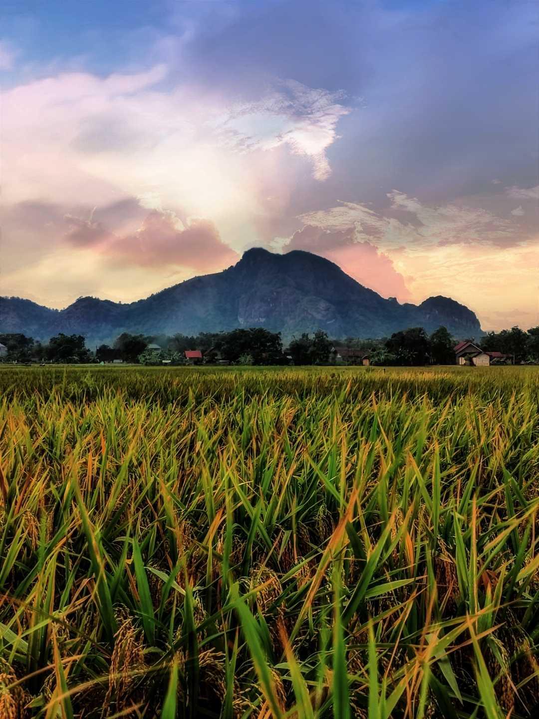 Gunung Budeg