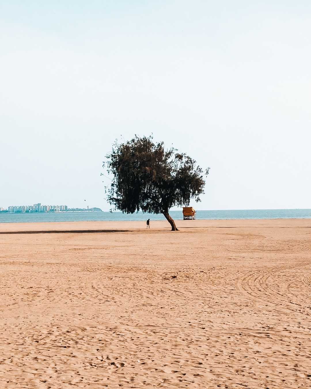Still Standing Alone.