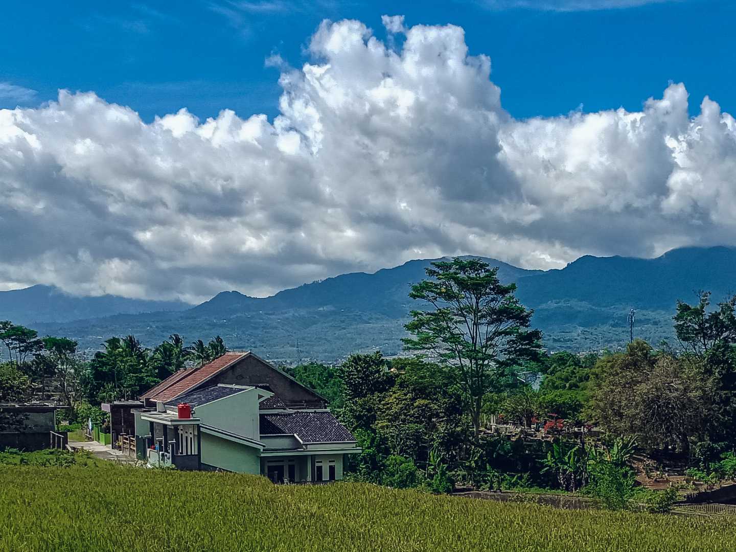my village