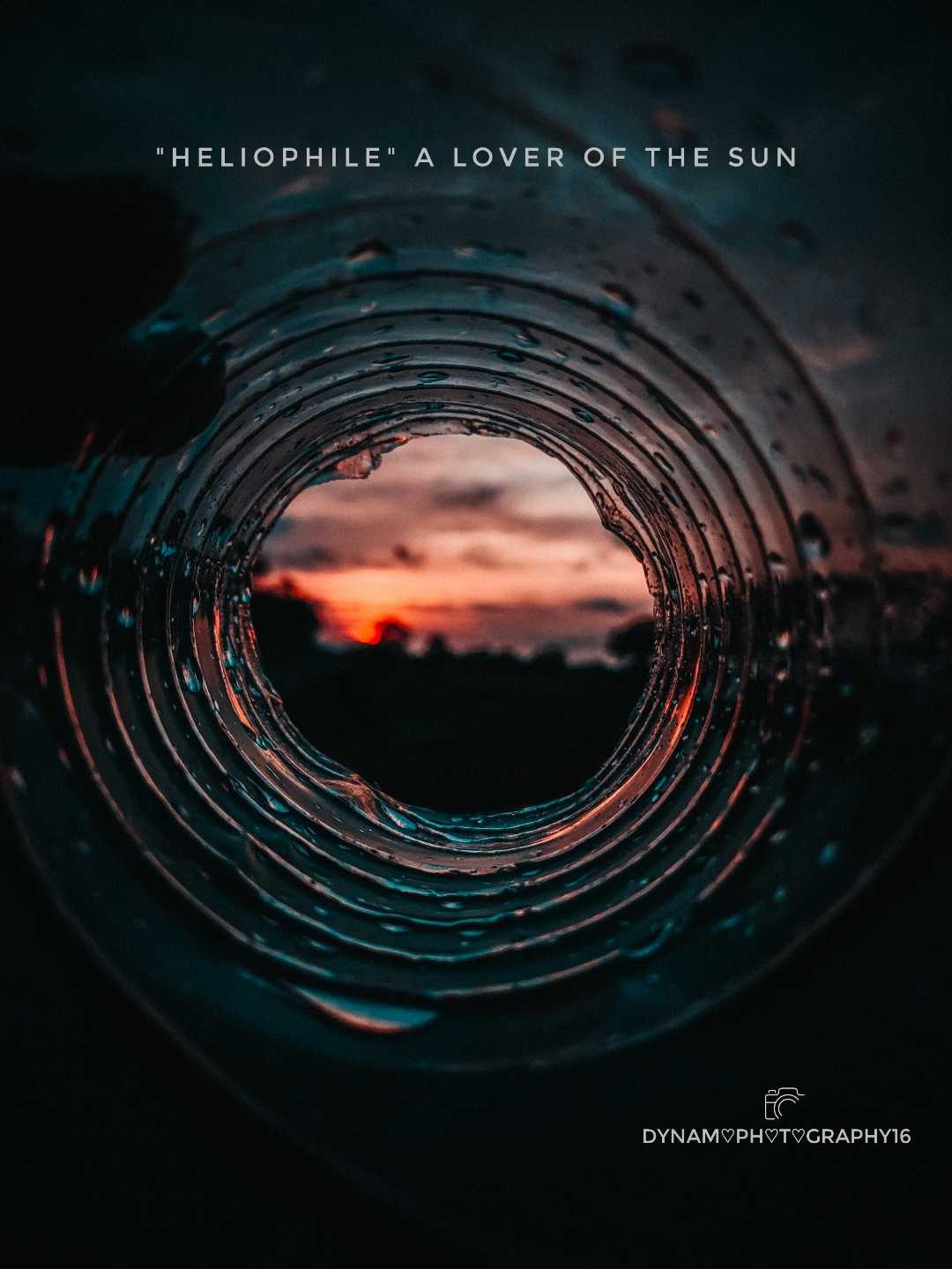 Sunset Vibes 🌇