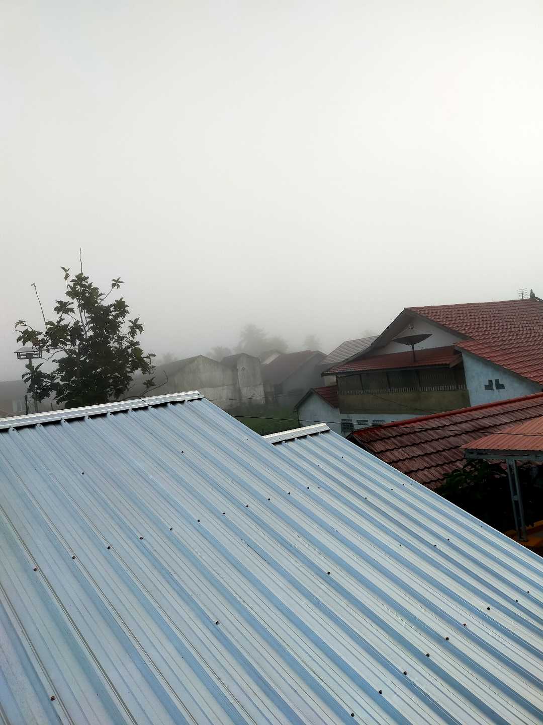 Kabut