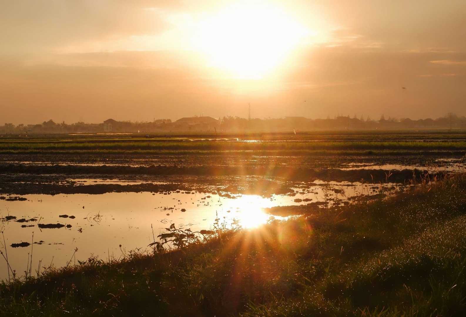 Sunrise