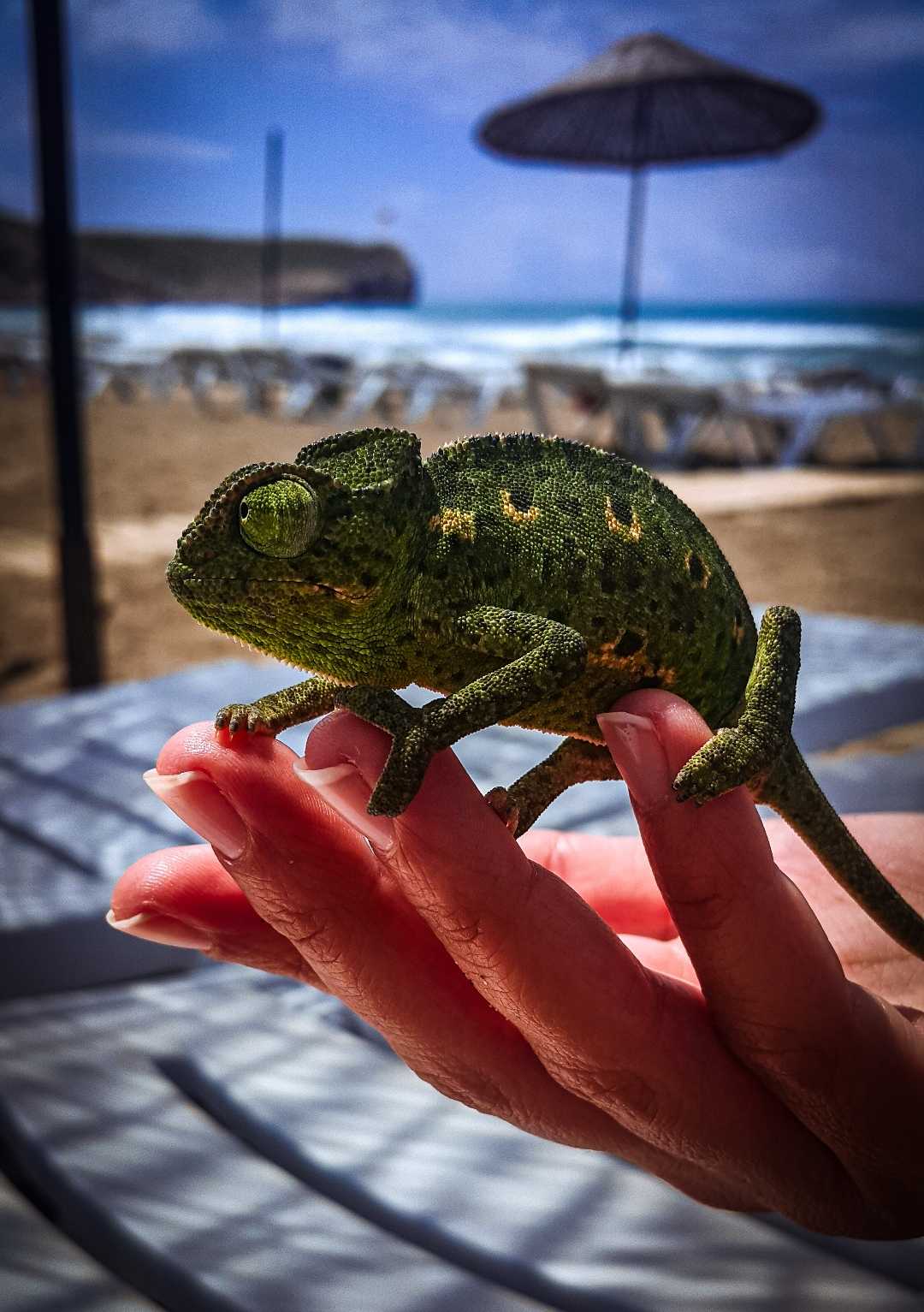 Patara Plajı