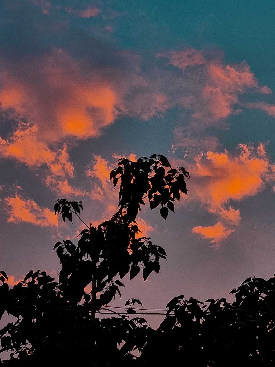 SUNSET 🌇