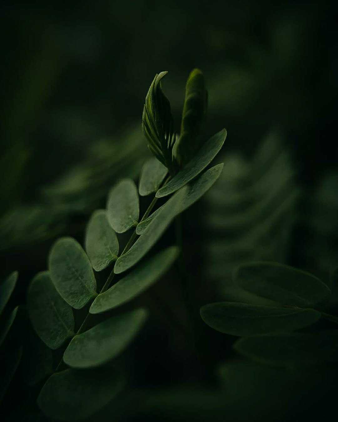 Moody shot