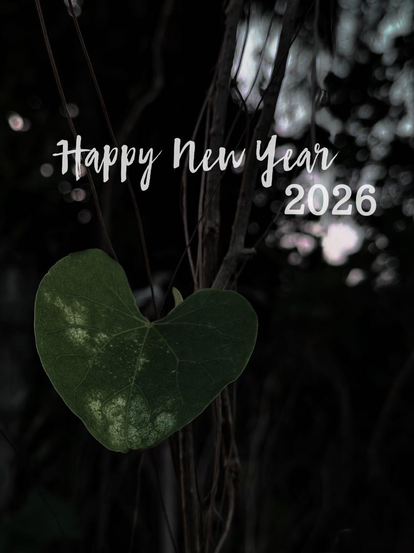 Happy new year 2026❤️