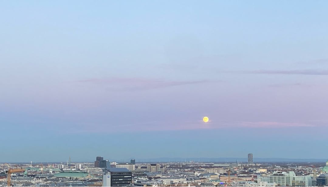 Vienna Panorama 