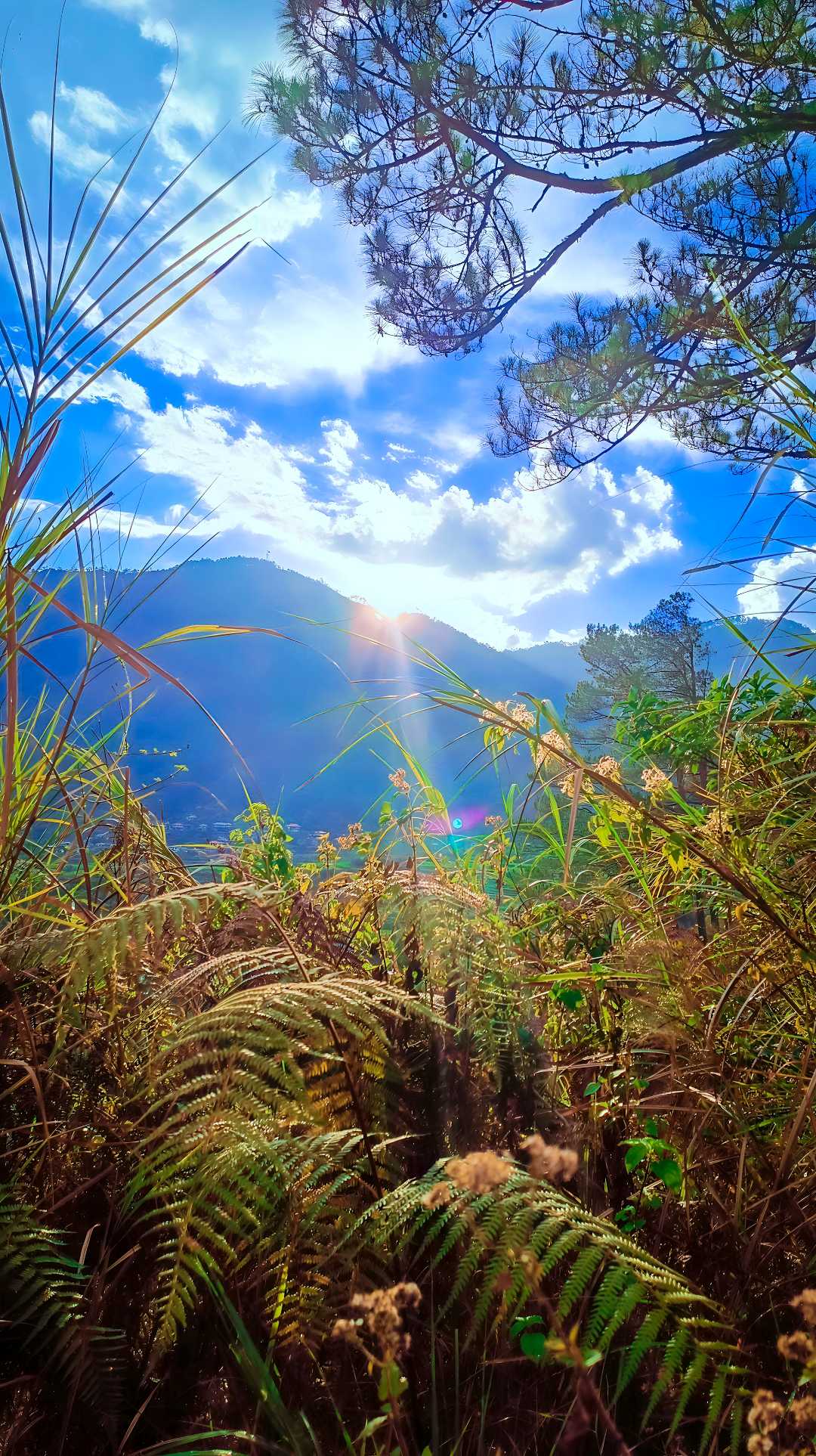 Majestic Sunrise at Sagada