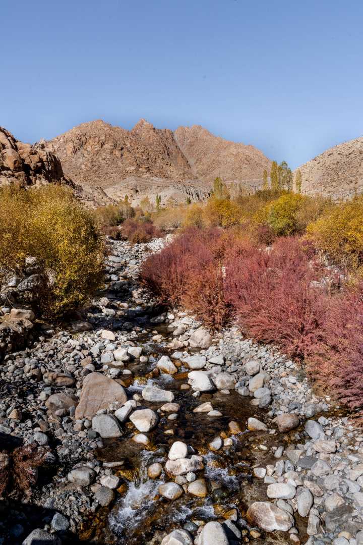 Autumn Landscapes
