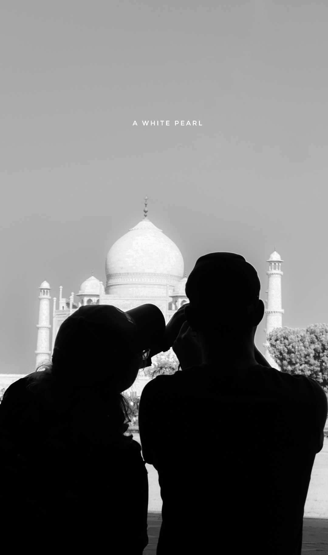Taj ....