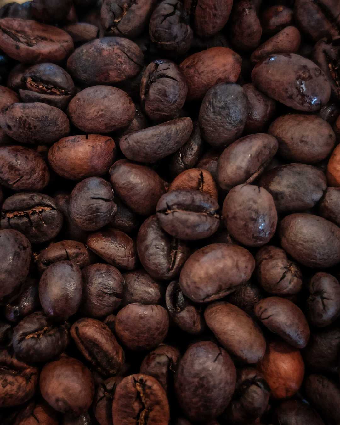 Biji Kopi